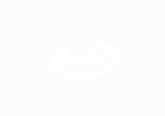 3-baoli-logo
